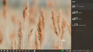 Feb 06, 2020 · install a program to hide your icons quicker. Windows 10 Desktop Icons Missing Here S How To Fix Desktop Icons Not Showing