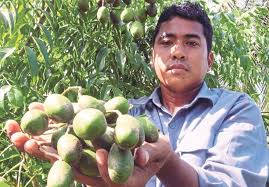 Terjah usahawan melayu yang berjaya di usia muda. Iktiraf Usahawan Tani Muda