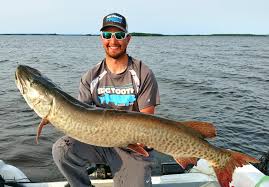 As a full time charter/commercial fisherman it is our job to know where the fish are. Lake Of The Woods Fishing Report Lake Of The Woods