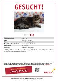 Nein, auf gar keinen fall! Tierschutzverein Im Landkreis Biberach E V Katzen Seit 2018