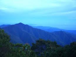 The Blue Mountains In Jamaica Are Named For The Mists That Often Cover Them Which Look Blue From A Distance Blue Mountain Jamaica Island The Blue Mountains