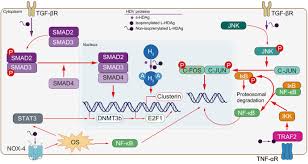 The delta variant, which is more transmissible and is better at evading vaccines, is expected to become dominant in the us. The Oncogenic Role Of Hepatitis Delta Virus In Hepatocellular Carcinoma Jhep Reports