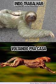 Resultado De Imagem Para Dinossauro Pensador Engracado Frases Engracadas Memes Engracados