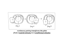 Classical And Operant Conditioning With Examples Article