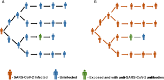 Flinders university of south australia, bedford. Frontiers Is Herd Immunity Against Sars Cov 2 A Silver Lining Immunology