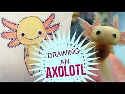 Drawing on the axolotl s face fish tank review 47. Drawing An Axolotl Youtube