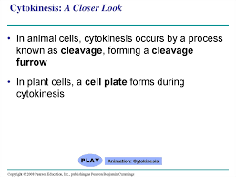We did not find results for: Chapter 12 The Cell Cycle Prezentaciya Onlajn