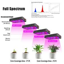 But, don't you get the expected growth of the plants? Phlizon 1200w Led Review 2021 An Investment Or Hole In Pocket