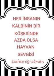 Emine Ogretmen Adli Kullanicinin 4 Ekim Hayvanlari Koruma Gunu Panosundaki Pin Eminem Hayvan