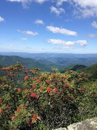Craggy gardens is located about 15 miles north of asheville on the blue ridge parkway (from the folk art center at us 70). Hikes Close To Downtown Asheville Greybeard Rentals