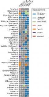 Existing Drugs May Offer A First Line Treatment For Coronavirus Outbreak Eurekalert Science News