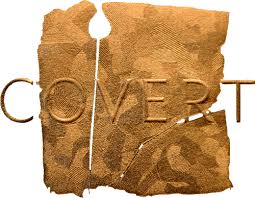 نتیجه جستجوی لغت [covert] در گوگل