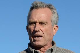 The ex-Pfizer scientist who became an anti-vax hero.