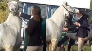 Primary School Teacher Sacked Over Video Of Woman Kicking And Punching A Horse Uk News Sky News