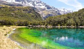 See all things to do. Blue Lake New Zealand Clearest Water In The World Travel Blog
