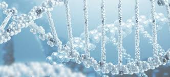 Homeopathy Doctor Clinic In Medavakkam