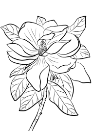 Feel free to print and color from the best 40+ large printable coloring pages at getcolorings.com. Flowers To Color And Print Free Printable Flower Coloring Pages All Crafty Things