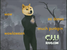 The best memes from instagram, facebook, vine, and twitter about doge gif. Punkpin S Not Dead Senor Gif Pronounced Gif Or Jif