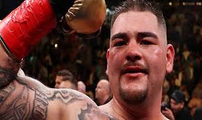 And deontay wilder should fight next. Andy Ruiz Jr Age Career Boxrec The Ring Marriage Children 2008 Olympic Games Wba