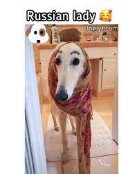 Pin On This Is Funny