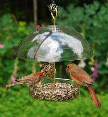 X 1 Seed Saver Bird Feeder X 1 Comederos De Aves Caseros Comederos Para Pajaros Comederos Para Aves