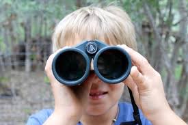 Ek soek nie die entstof. Birding With Kids You Don T Have To Be An Expert Children And Nature Network