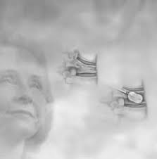 Last 9-11 hero buried