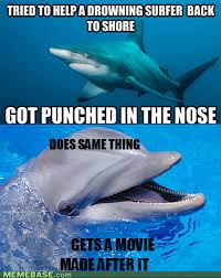 Scumbag Dolphin Sharks Funny Funny Memes Funny Animal Memes