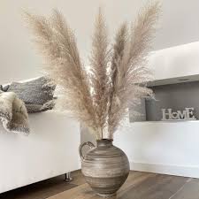 Naturalz Pampasgras Getrocknet Deko Gras Gross Pampas Grass Lang Grau Beige Getrocknete Trockenblumen Gross Getrocknetes Pampa Trockenblumen Gras Pampasgras