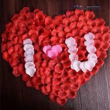 We did not find results for: Terkeren 14 Bunga Mawar Love Gambar Bunga Hd