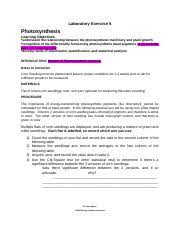 Total chlorophyll, as well as chlorophyll a, chlorophyll b, and carotenoids, can be determined by a fast and simple spectrophotometric assay (porra, thompson one of the few papers reporting on the beneficial effects on plants grown in soil amended with nano copper is the one by hafeez et al. Photosynthesis Oxford Docx Question 1 Which Of The Following Statements About Photosynthesis Is Correct A Carbohydrates Are The Source Of Electrons In Course Hero