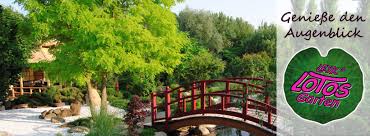 Highlights Leyk S Lotos Garten