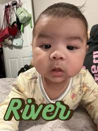 59 top Christmas Themed Names ideas in 2025