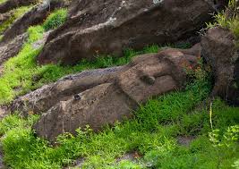 Some unfinished moai\s in the quarry at Rano Raraku Easter Island