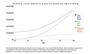 High Early Cash Value [Get The Highest Cash Value Whole Life In 2025]