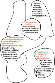 The unwillingness of families to approve donation after the donors death. Systematic Review On The Treatment Of Deceased Organ Donors Sciencedirect