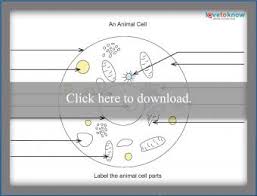 Maybe you would like to learn more about one of these? Basics Of Animal Cell Biology Lovetoknow