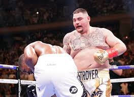 Andy, andy, andy, says the crowd! Anthony Joshua S Upset Loss To Andy Ruiz Scrambles Heavyweight Boxing The New York Times