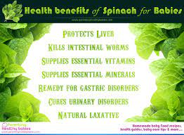 Health Benefits Of Spinach For Babies Spinach Health Benefits Spinach Benefits Baby Food Recipes