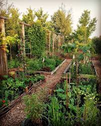 Wir Freuen Uns Dieses Jahr Mehr Gemuse Anzubauen Wir Haben 3 Grenzen Fur Wachstum In 2020 Garten Landschaftsbau Garten Gartenbau