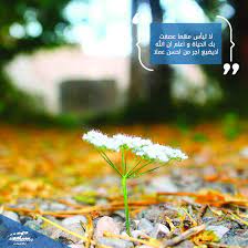 لا تيأس مهما عصفت بك الحياة فإن الله الذي يخرج الحي من الميت ويخرج الميت من الحي قادر على أن يجعل لك مخرجا ويرزقك من حيث لا تحت places to visit