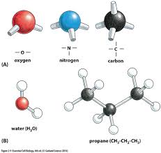 Student exploration chemical changes answer key by dedfsf. Covalent Bonds Are Formed When Electrons Are Quizlet