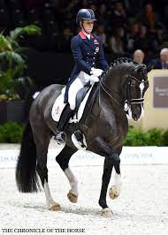Maybe you would like to learn more about one of these? Pin On Dressage And Such