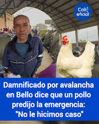 CALI ES CALI on X: "El pollo nos dio la señal, pero no le hicimos caso:  hombre víctima de la avalancha en Bello, Antioquia, aseguró que un animal  de su propiedad les