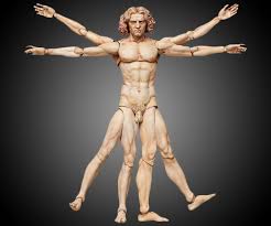 Résultat de recherche d'images pour "vitruvian man"