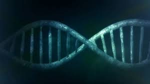 By jason palmer science and technology reporter, bbc news. What Is Dna Computing How Does It Work And Why It S Such A Big Deal