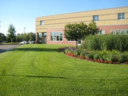 Groundmasters is a single source solution for all of your commercial landscape maintenance needs. Commercial Landscape Maintenance Services Jfe Lawn And Landscape