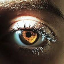 Perfect vision of our love somehow you take over my mind. Brown Turns Gold Pretty Eyes Eye Photography Eyes