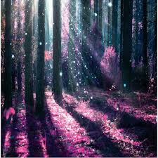 Please contact us if you want to publish an aesthetic forest wallpaper on our site. Beibehang Custom Wallpaper Modern Fashion Aesthetic Purple Forest Trees Tv Background Wallpaper Tv Background Wallpaper Custom Wallpaperbackground Wallpaper Aliexpress