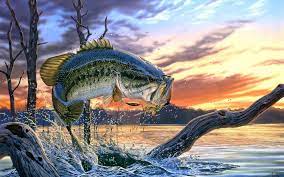 We have a massive amount of desktop and mobile backgrounds. Best 64 Fishing Backgrounds On Hipwallpaper Outdoor Fishing Wallpaper Peaceful Fishing Wallpaper And Sport Fishing Wallpaper